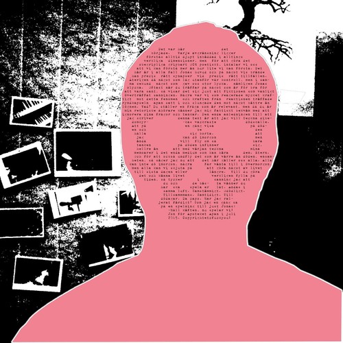 Stormen cover art