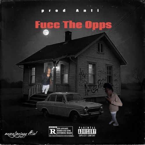 Fucc The Opps (fto) cover art
