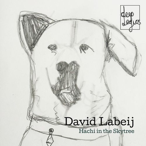 Hachi in the Skytree