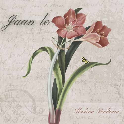 Jaan le