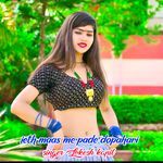 Jeth Maas Me Pade Dopahari