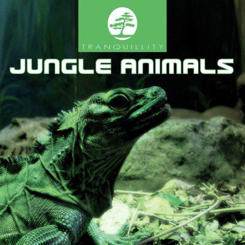 Jungle Animals Part 4 - Original