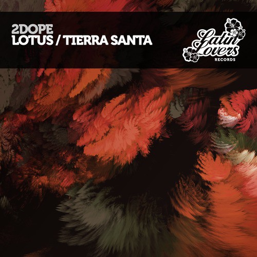 Lotus / Tierra Santa