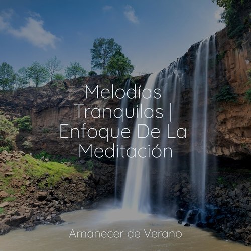 Melodías Tranquilas | Enfoque De La Meditación