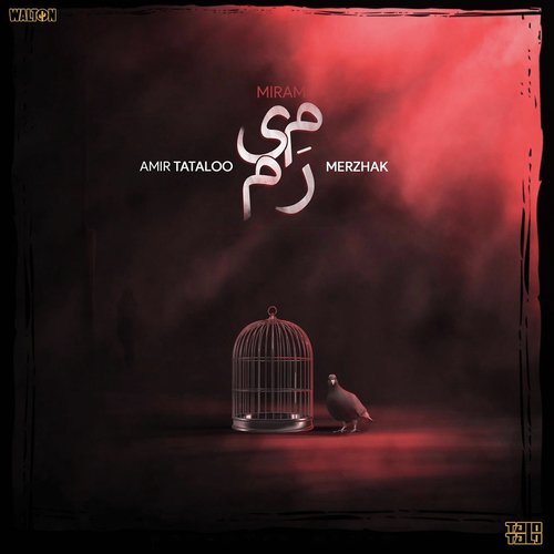 Amir Tataloo Merzhak Download New Songs Jiosaavn