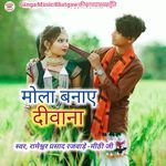 Mola Banaye Diwana
