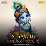 Shyam Tu Makhan Churata Hai