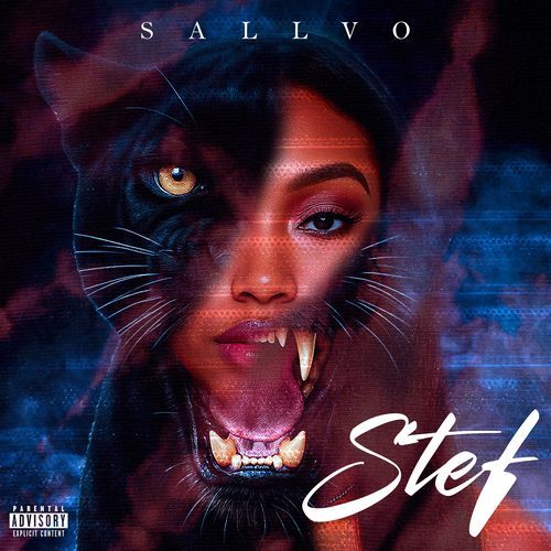 Stef cover art