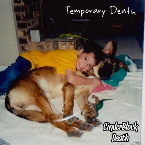 Temporary Death cover art