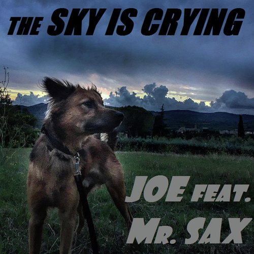 The Sky Is Crying_poster_image