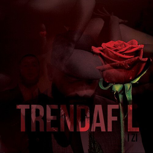 Trendafil i zi cover art