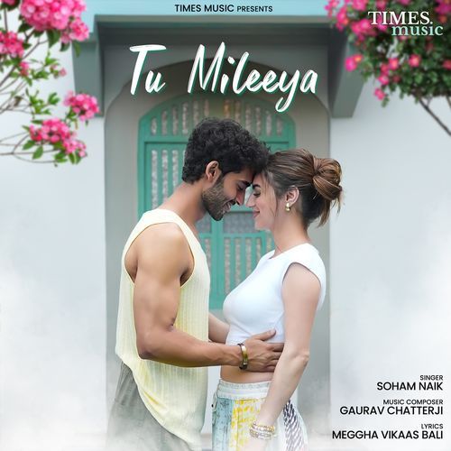 Tu Mileeya okv tunes