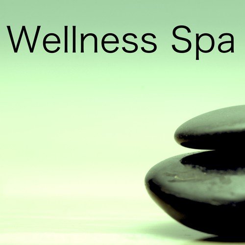 Wellness Spa – Best Music Therapist, Relaxing Sounds for Regeneration & Massage Songs for Relaxation, Sleep Therapy, Mindfulness ,Brain Stimulation, Beauty, Yoga