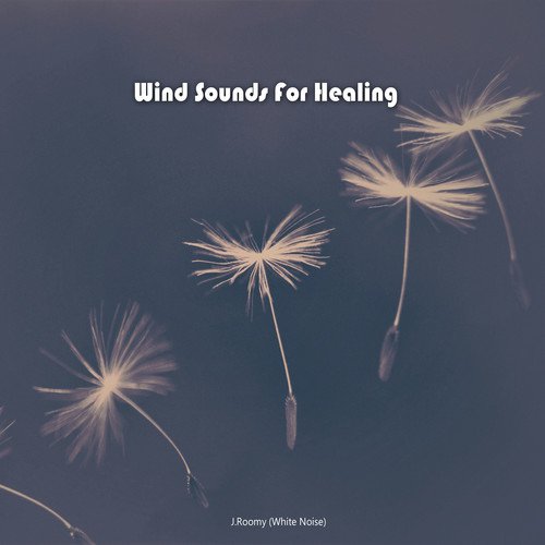 Wind Sounds For Healing_poster_image