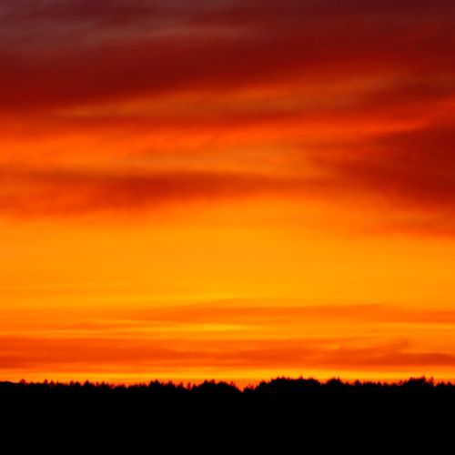 Yellow Sky