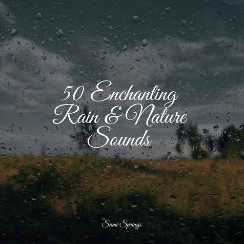 50 Enchanting Rain & Nature Sounds