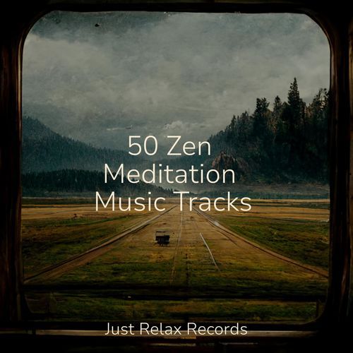 50 Zen Meditation Music Tracks