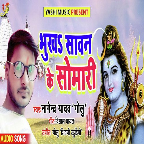 Bhukh Sawan Ke Somari_poster_image