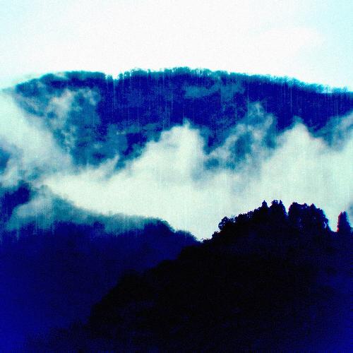 Contemplation Of Reality, In Forest Rain cover art