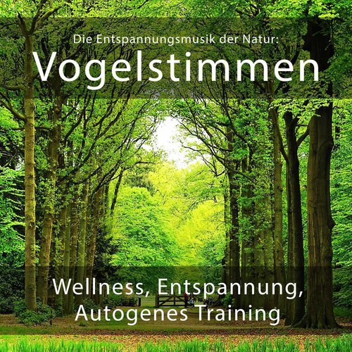 Die Entspannungsmusik der Natur: Vogelstimmen (Wellness, Entspannung und Autogenes Training)_poster_image