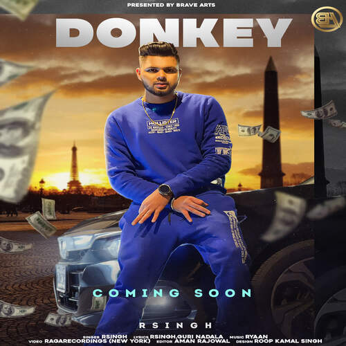 Donkey