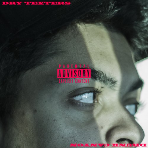 Dry Texters cover art