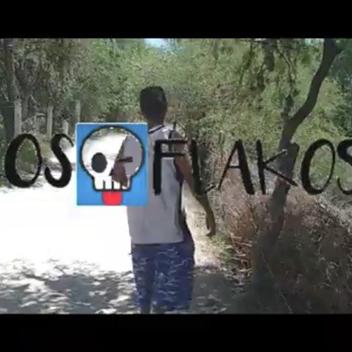 ESA SHIT LOS FLAKOS cover art