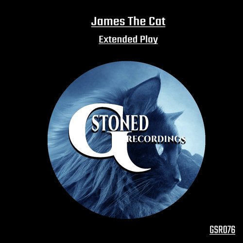 U.F.O. (Stoned Entertainment Remix) cover art