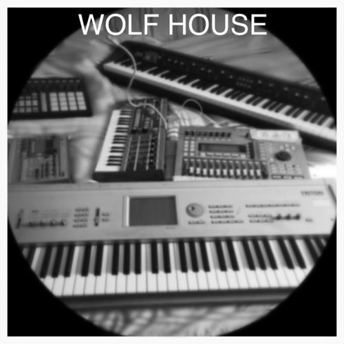  Wolf House