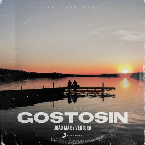 Gostosin (Acoustic)_poster_image