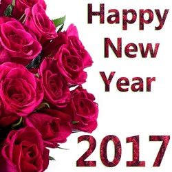 Happy New Year 2017