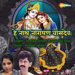 Hey Nath Narayana Vasudevaha
