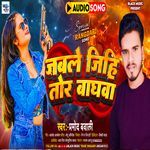 Jabale Jihi Tor Baghawa