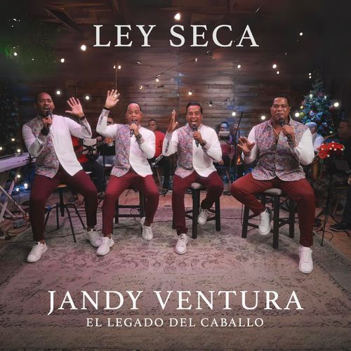 Ley Seca_poster_image