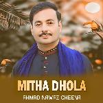 Mitha Dhola