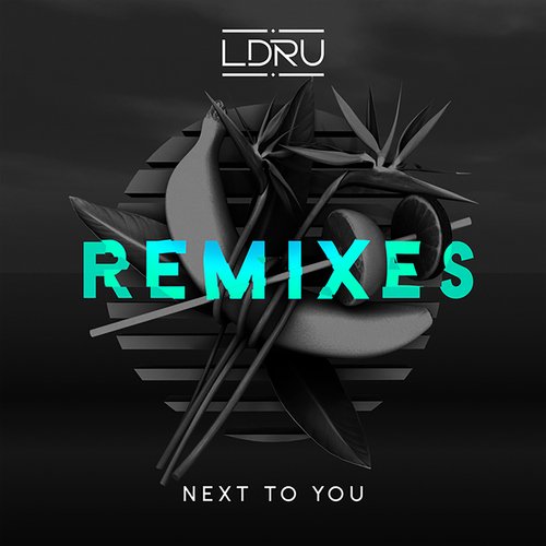 Next to You (feat. Savoi) (Remixes)