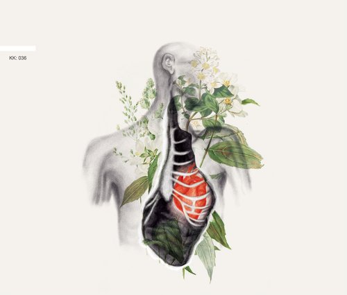 Untold cover art