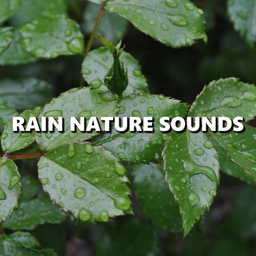 Dreary Atmospheric Rain Sounds