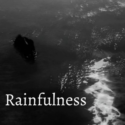 Rainfulness (feat. Geir Sundstøl) cover art
