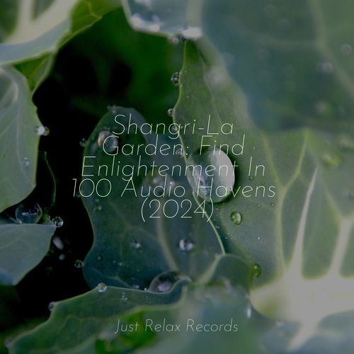 Shangri-La Garden: Find Enlightenment In 100 Audio Havens (2024)