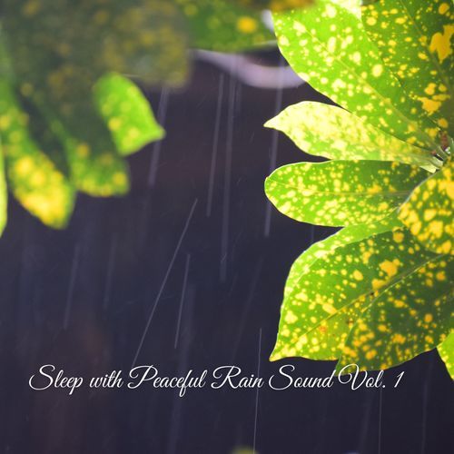 Sleep with Peaceful Rain Sound Vol. 1_poster_image