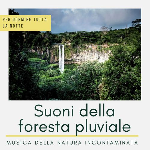Suoni della foresta pluviale cover art