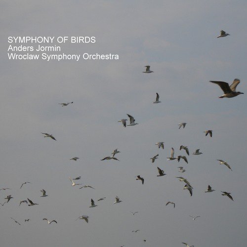 Sats 1 - Parliament of owls cover art