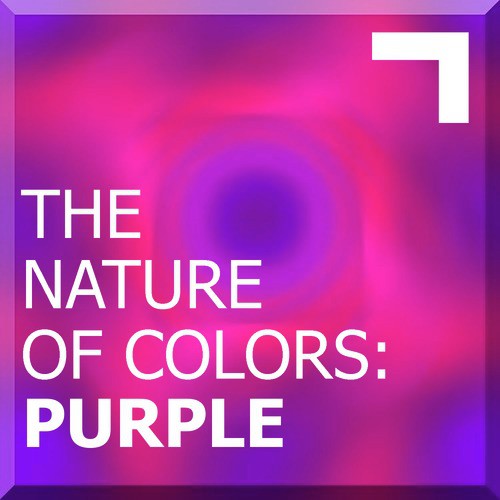 The Nature of Colors: Purple