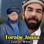 Torabe Janan