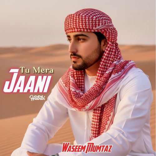 Tu Mera Jaani (Habibi)