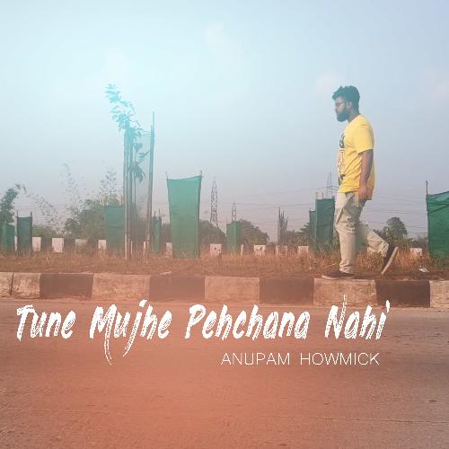 Tune Mujhe Pehchana Nahi_poster_image