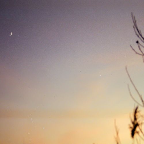 stay, now