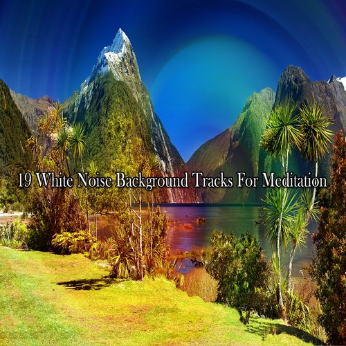 Mystically Neutralised cover art