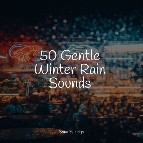 50 Gentle Winter Rain Sounds_poster_image